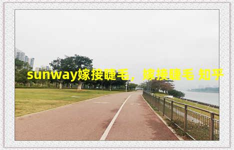 sunway嫁接睫毛，嫁接睫毛 知乎